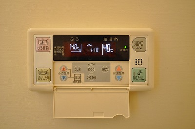 ＡＮＥＳＹＳ（アネシス） その他3