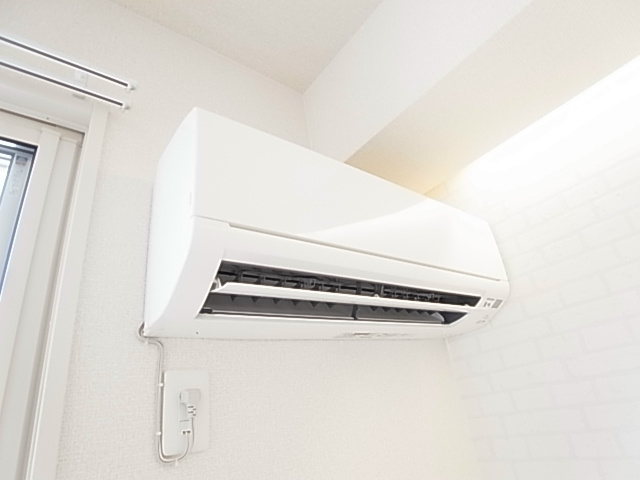 セレジェイラ その他5