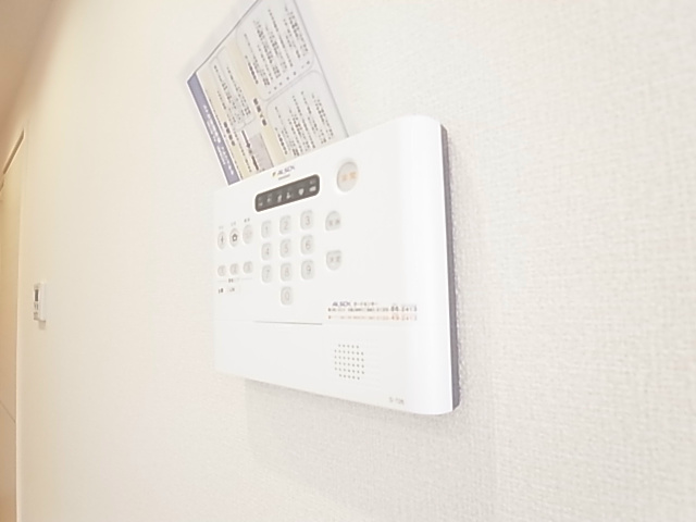 セレジェイラ その他7