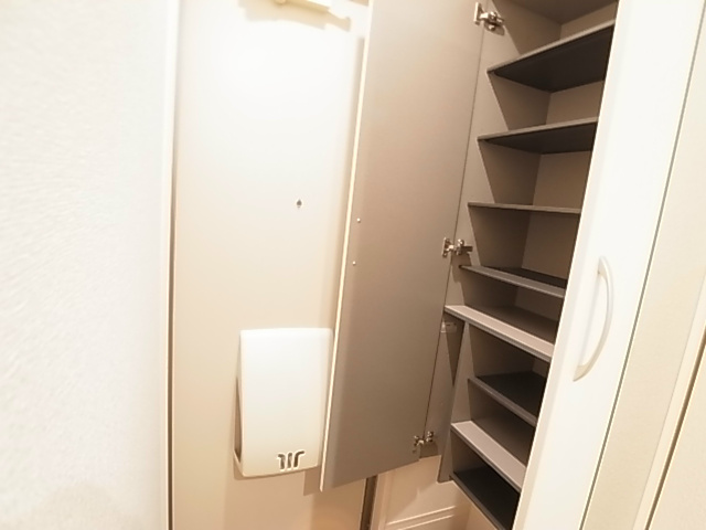 セレジェイラ その他9