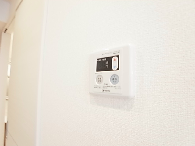 セレジェイラ その他10