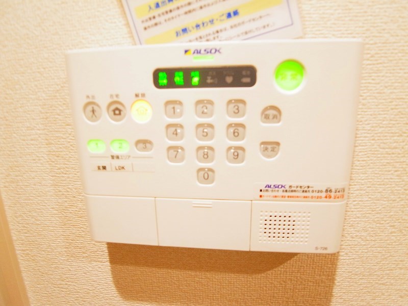 セレジェイラ その他3