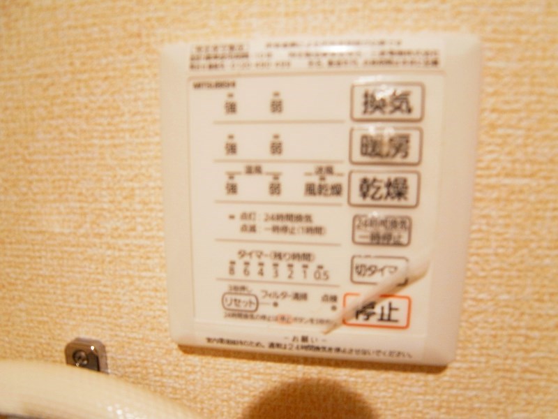 セレジェイラ その他13