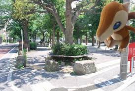 コンフォリア碑文谷  周辺画像4