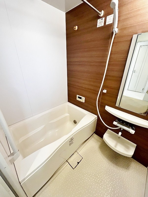 Ｆｅｌｔ１１１３（フェルト１１１３） その他15