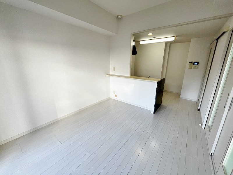 Ｆｅｌｔ１１１３（フェルト１１１３） その他33