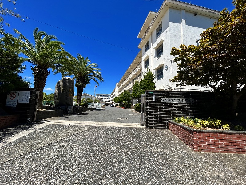 ハイカムール葛原 周辺画像6