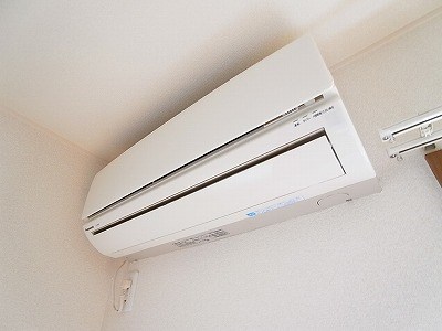 フェリシティ その他5