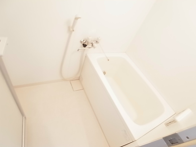 パインツリーコート 風呂画像