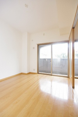 Ｆｅｌｔ７１６（フェルト７１６） その他11