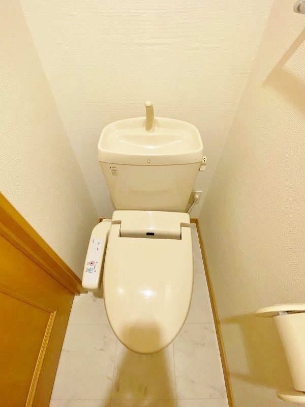 エヴァーグリーンＮ その他2