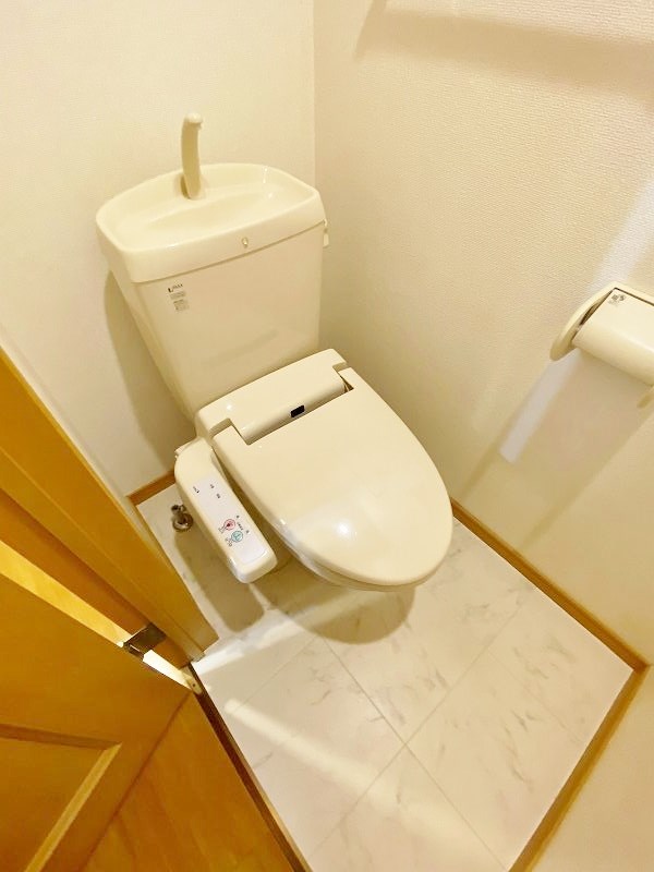 エヴァーグリーンＮ その他17