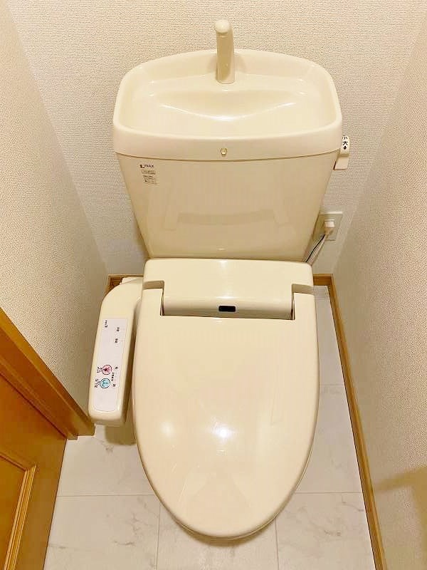 エヴァーグリーンＮ その他18