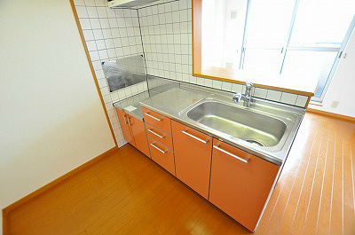 レインボーピーク その他20