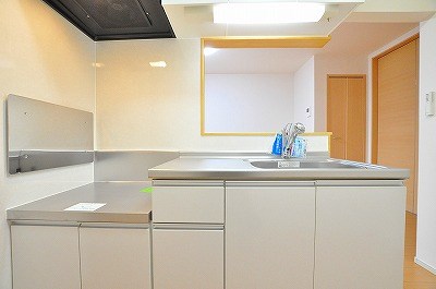 フェリスⅡ  その他16