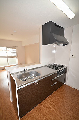 エルティアラ上富野 キッチン