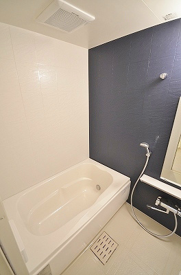 エルティアラ上富野 風呂画像