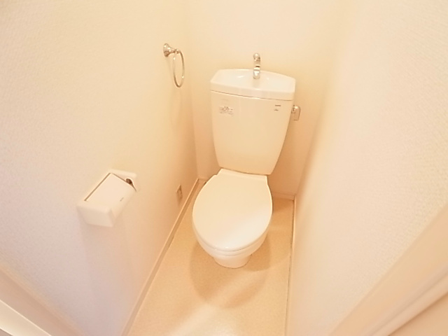 プルメリアール その他1