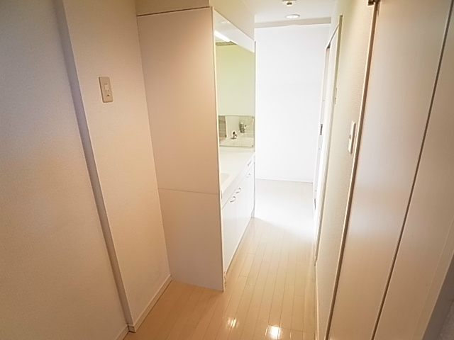 プルメリアール その他7