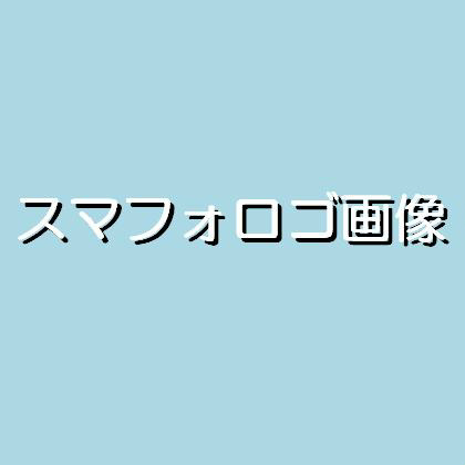 20130726　渡邉確認用 その他