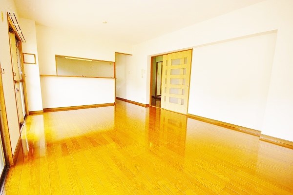 カメリアⅡ その他30