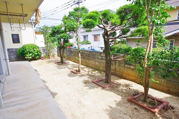 カメリアⅡ その他31