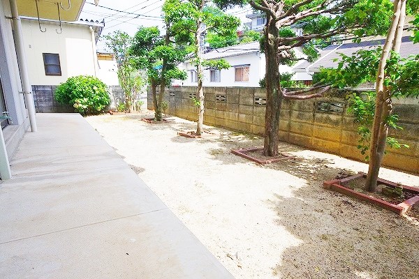 カメリアⅡ その他33