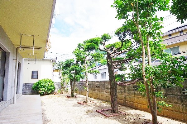 カメリアⅡ その他34