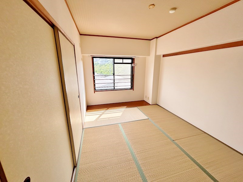 ベルデェ守恒 その他26