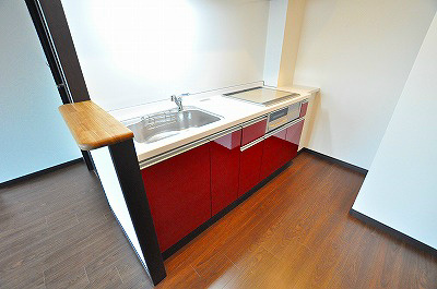 フェリシエ三萩野 その他16