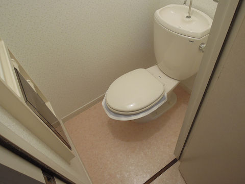 ディアスふじた. トイレ