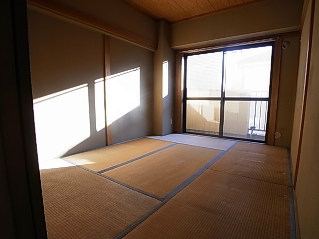 その他8