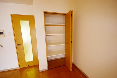 デザイナープリンセス３３ その他11