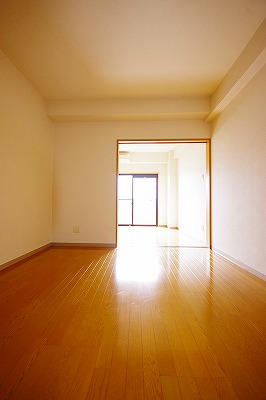 デザイナープリンセス３３ その他14