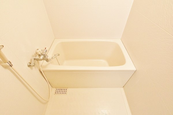 ヴィクトリアパラッツォ  風呂画像