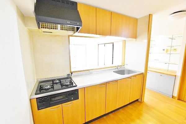 ミラベル嵐が丘 キッチン