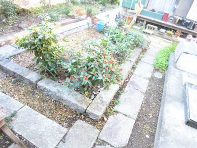 前沢ハウス ベランダ