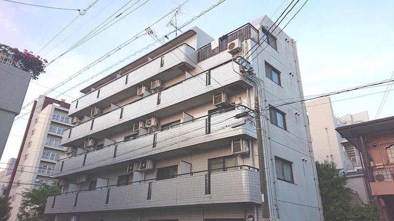 ハウザー金山 その他
