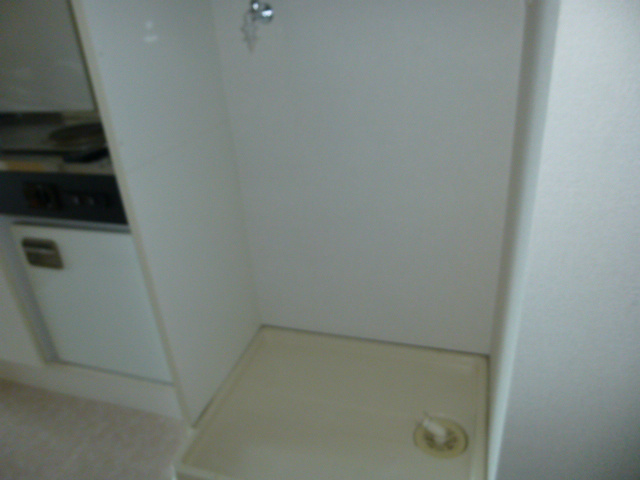 コスモス10 その他8