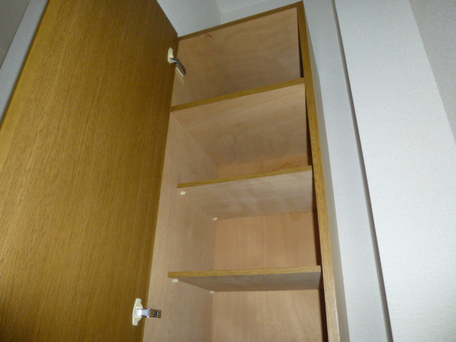 コスモス10 その他9