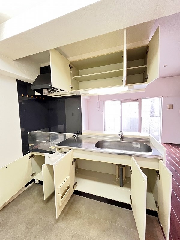 ＣＹＧＮＵＳ（シグナス） その他24