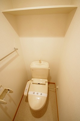 エヴァーグリーンＮ その他6