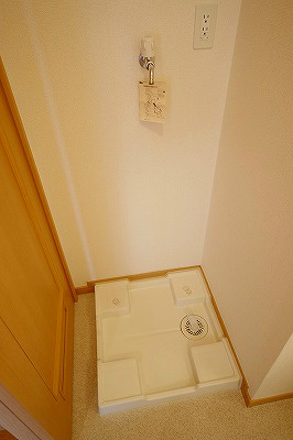 エヴァーグリーンＮ その他8