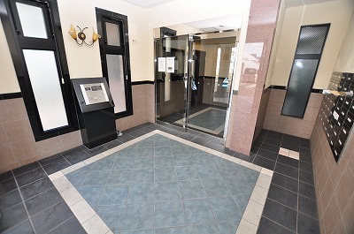 エヴァーグリーンＮ その他9