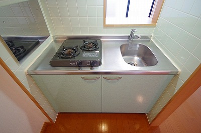 エヴァーグリーンＮ その他11