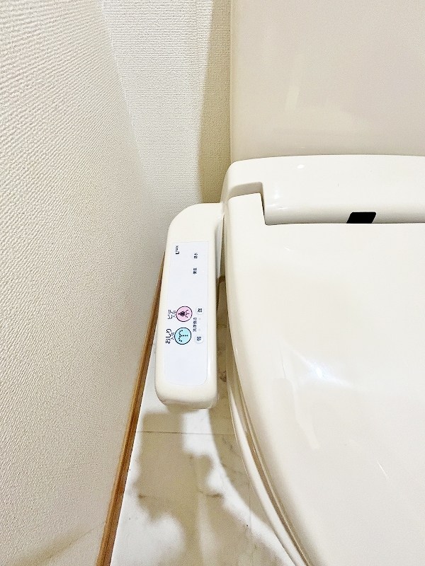 エヴァーグリーンＮ その他14