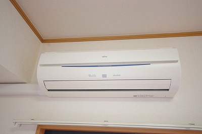 エヴァーグリーンＮ その他14