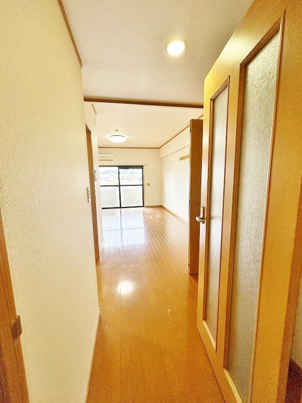 エヴァーグリーンＮ その他20