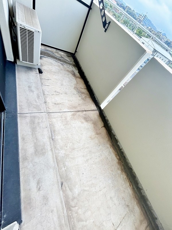 エヴァーグリーンＮ その他41