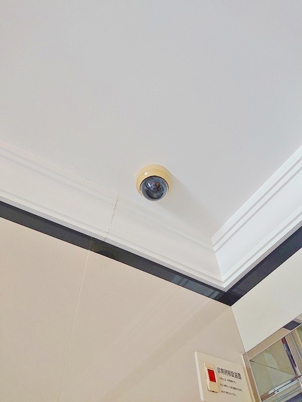 Ａｍａｚｉｎｇ Ｈｅａｒｔ（アメージングハート） その他外観5